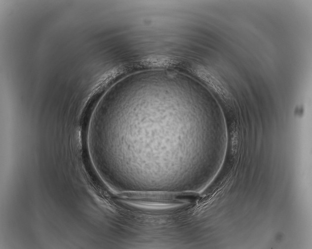 X0000096190254200801251247