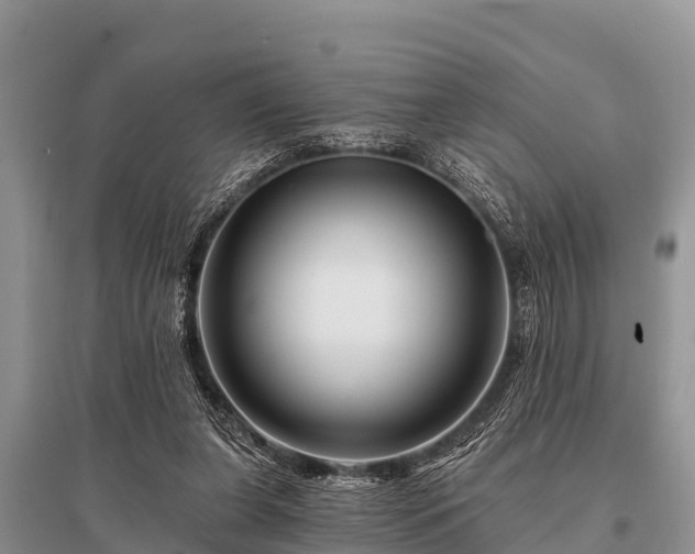 X0000096190255200801251247