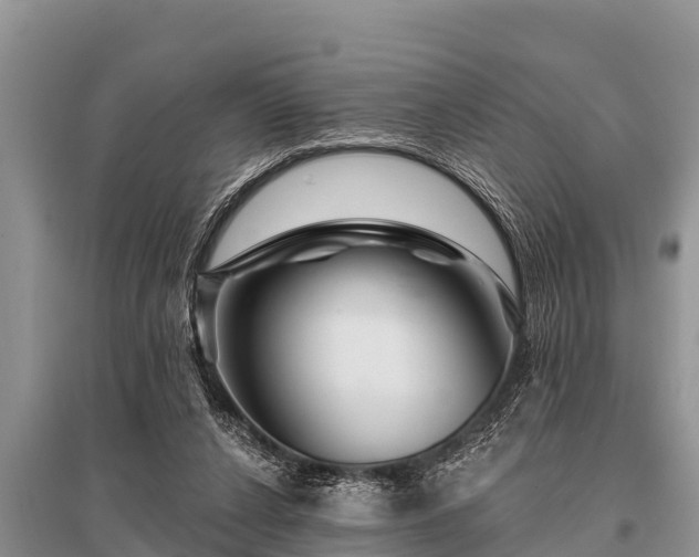 X0000096190256200801251247
