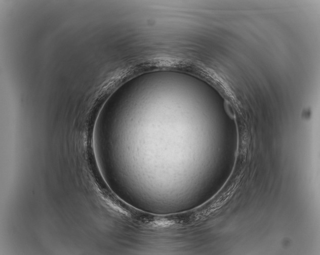 X0000096190257200801251247