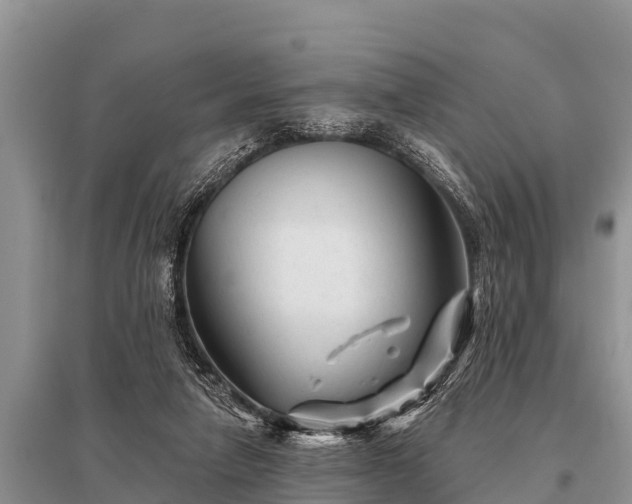 X0000096190258200801251247