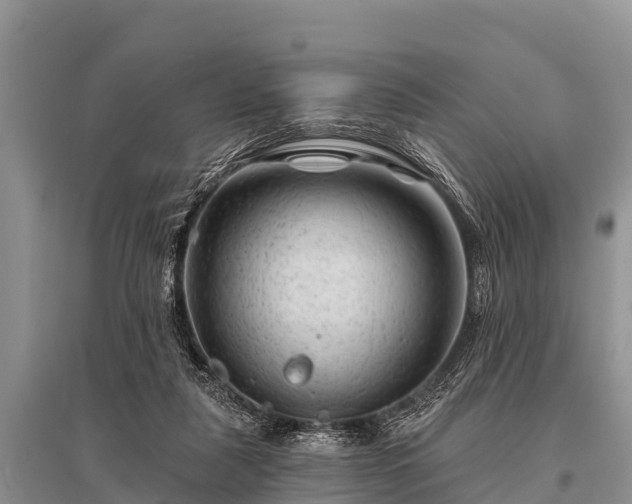 X0000096190259200801251247
