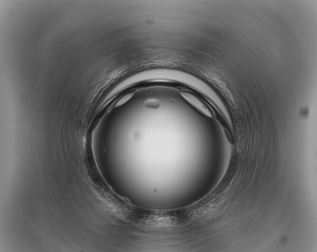 X0000096190260200801251247
