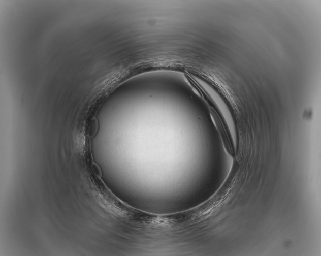 X0000096190261200801251247