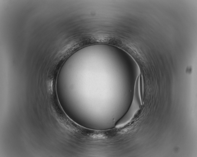 X0000096190262200801251247