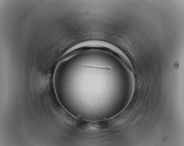 X0000096190263200801251247