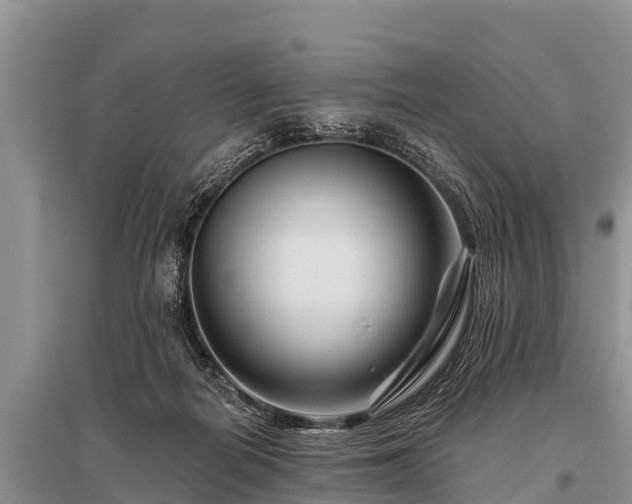 X0000096190266200801251247