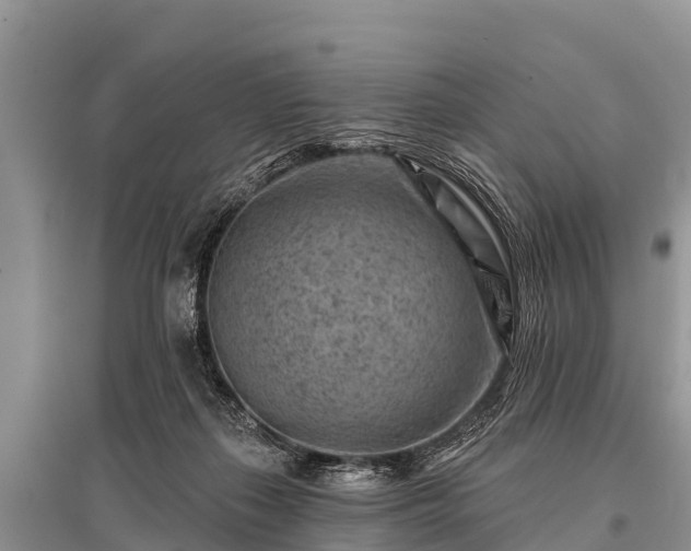 X0000096190267200801251247