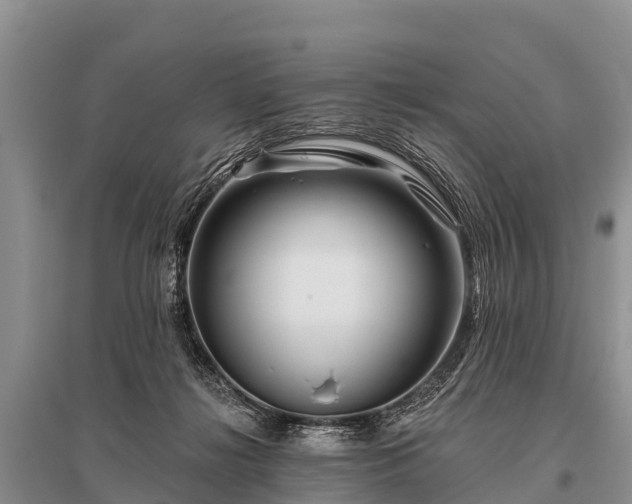 X0000096190268200801251247