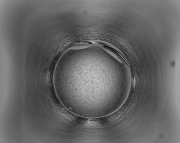 X0000096190270200801251247