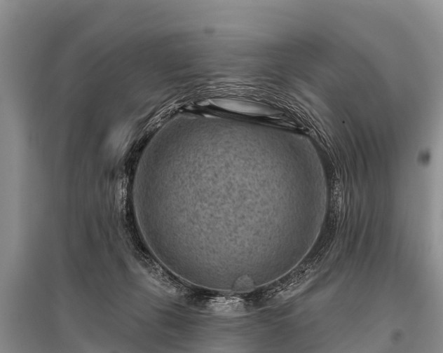 X0000096190271200801251247