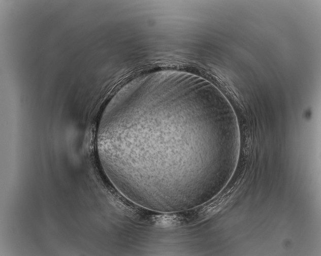 X0000096190273200801251247