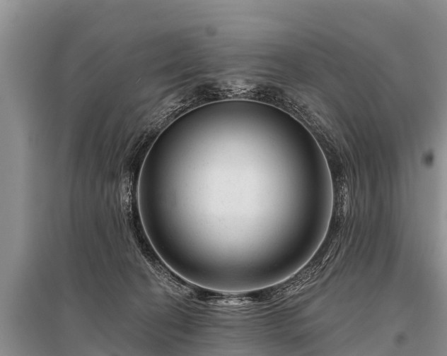 X0000096190274200801251247