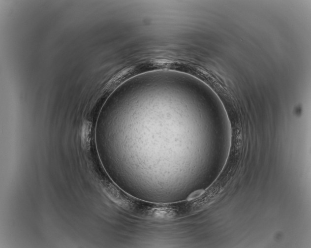 X0000096190275200801251247