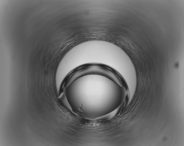 X0000096190276200801251247