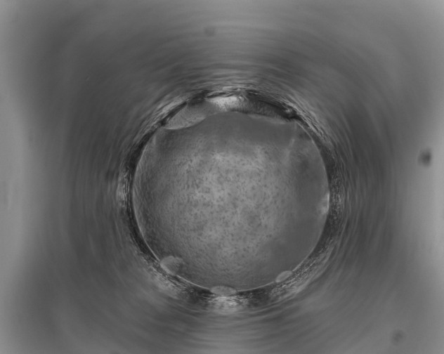 X0000096190277200801251247