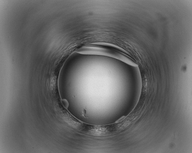 X0000096190278200801251247