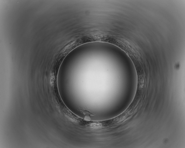 X0000096190279200801251247