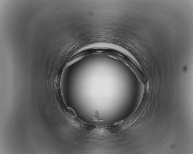 X0000096190280200801251247