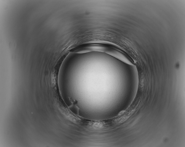 X0000096190282200801251247