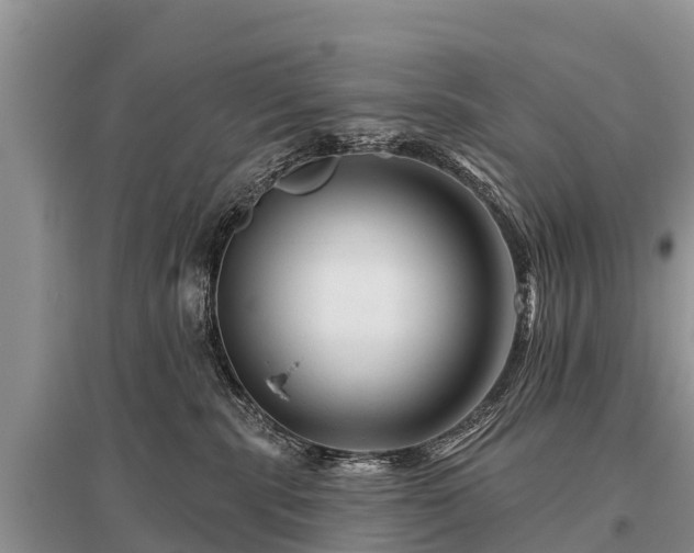 X0000096190283200801251247