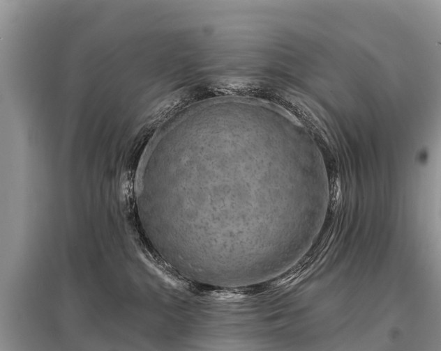 X0000096190284200801251247