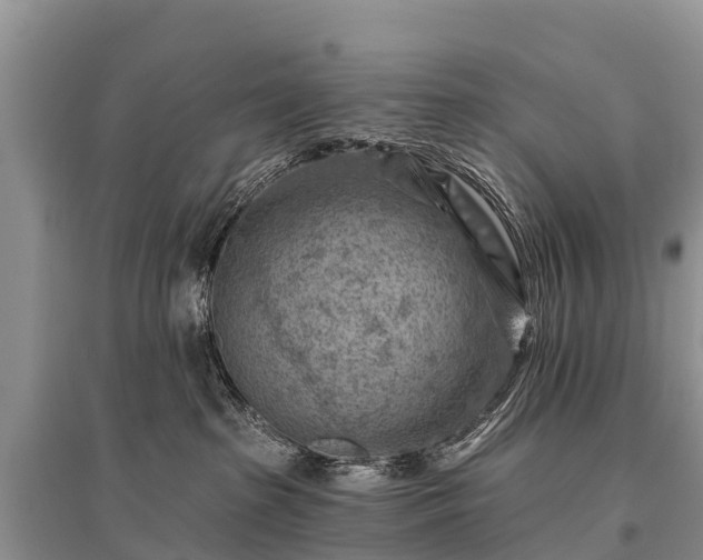 X0000096190285200801251247