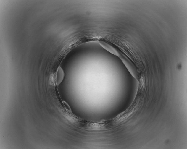 X0000096190286200801251247