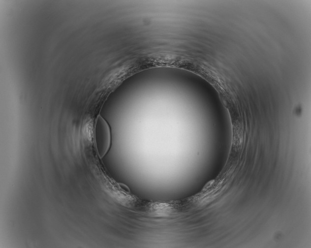 X0000096190287200801251247