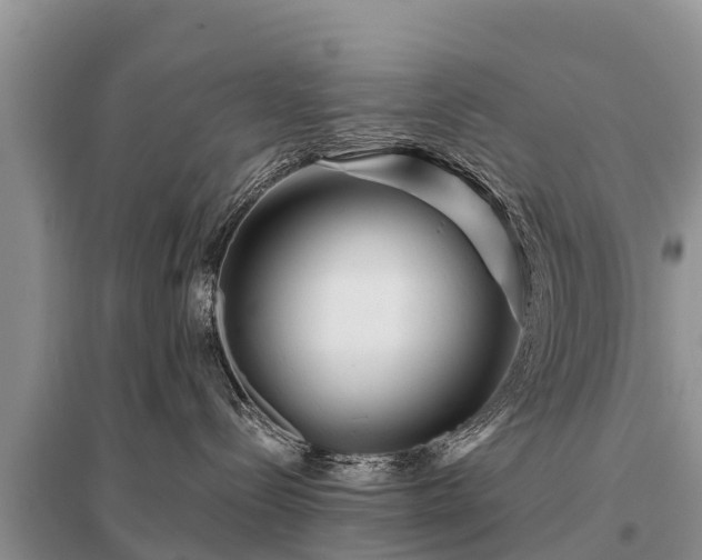 X0000096190288200801251247