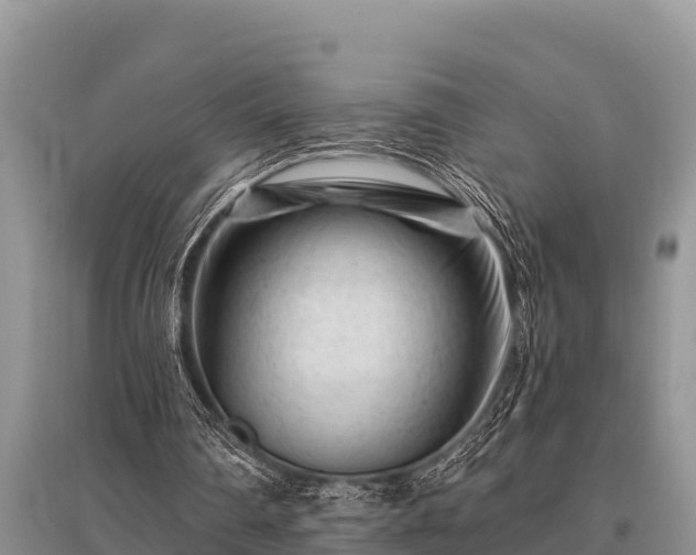 X0000096190290200801251247
