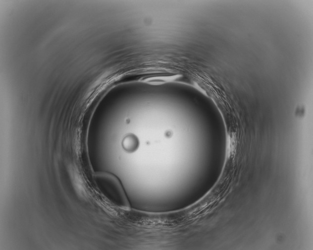 X0000096190291200801251247