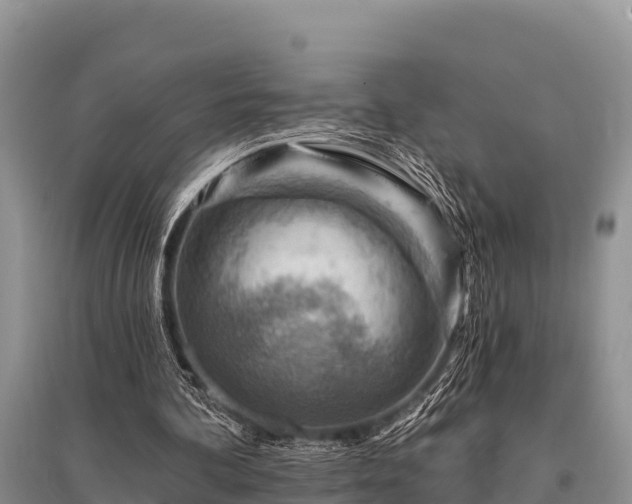 X0000096190292200801251247