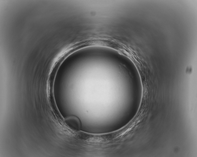 X0000096190294200801251247
