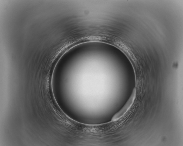 X0000096190297200801251247