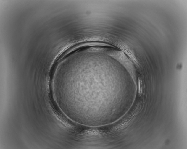 X0000096190300200801251246