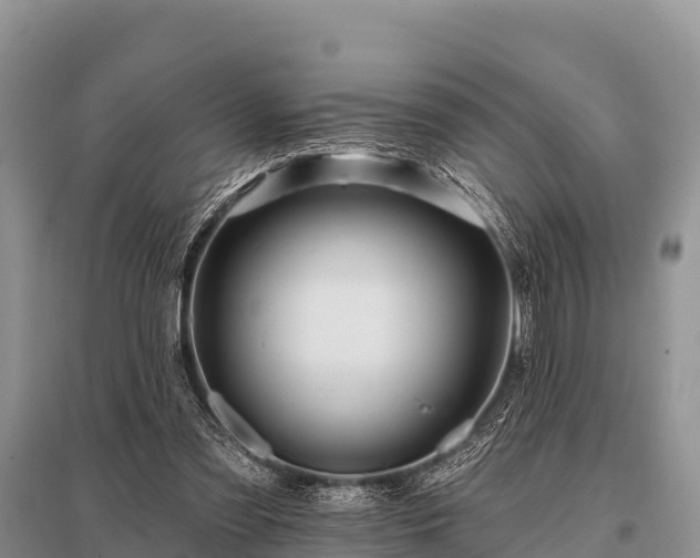 X0000096190301200801251246