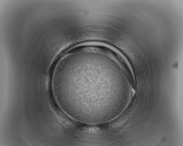 X0000096190304200801251246