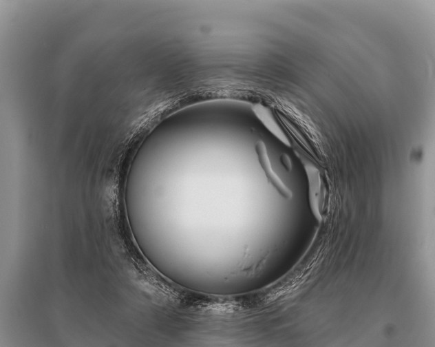 X0000096190306200801251246