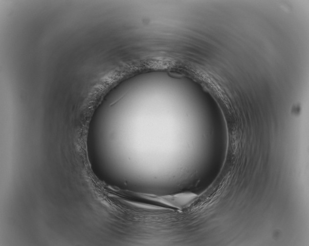 X0000096190307200801251246