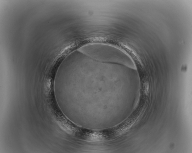 X0000096190308200801251246