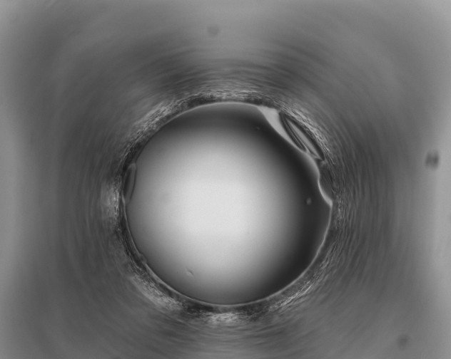 X0000096190309200801251246