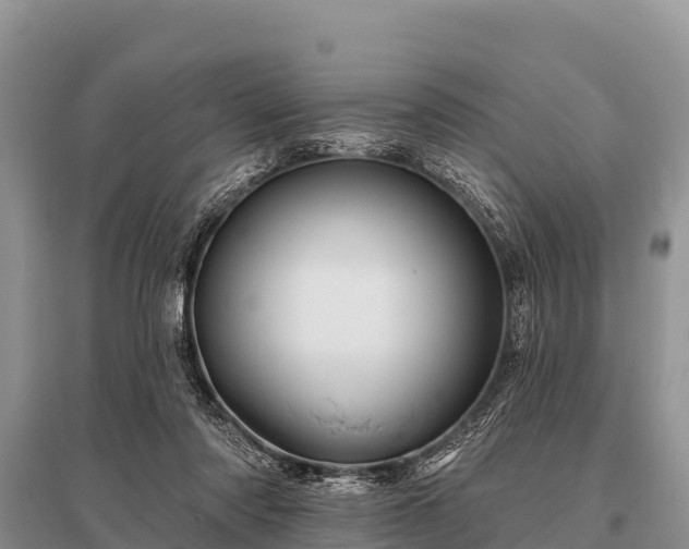 X0000096190310200801251246