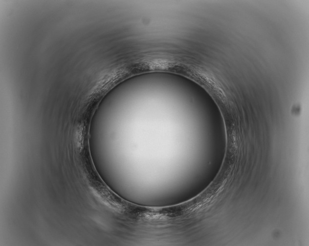 X0000096190311200801251246