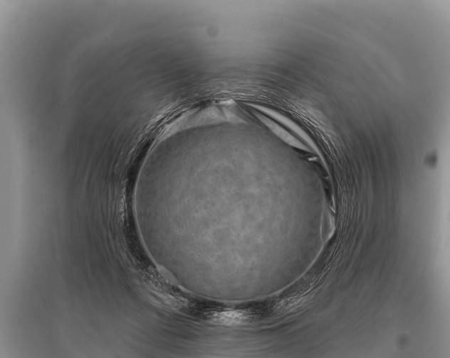 X0000096190312200801251246