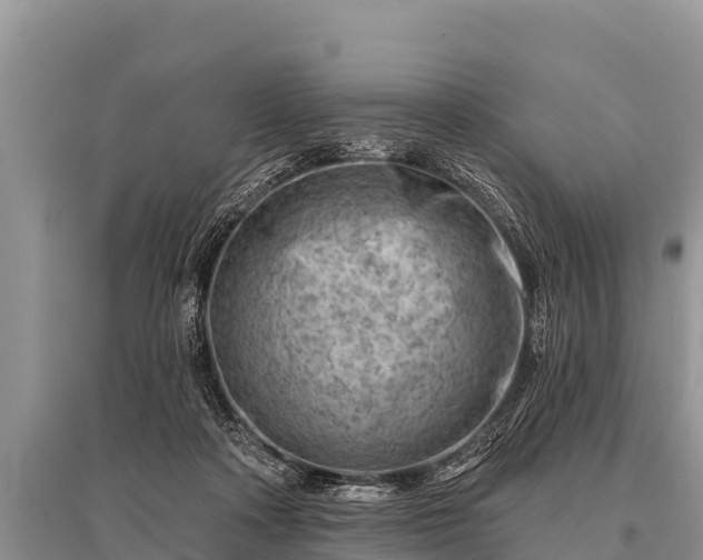 X0000096190314200801251246