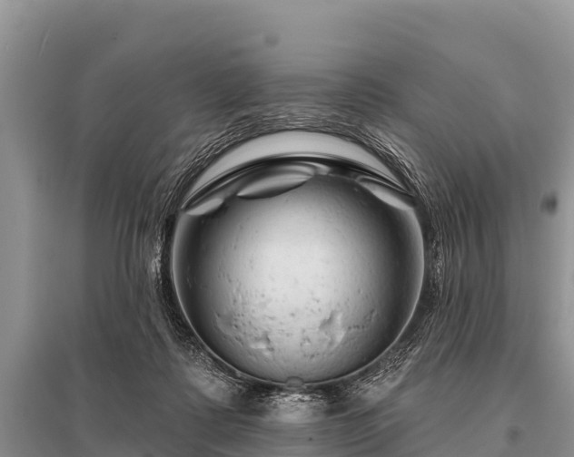 X0000096190315200801251246