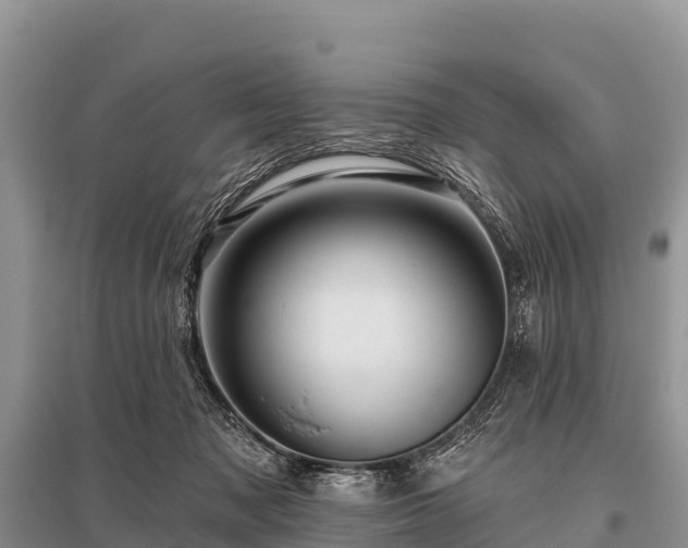 X0000096190317200801251246