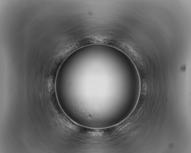 X0000096190318200801251246