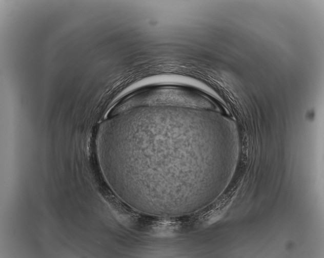 X0000096190319200801251246